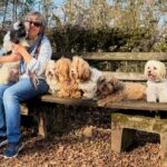 AKC HAVANESE BREEDER NEAR ME