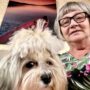 HAVANESE BREEDER TESTIMONIALS & REVIEW