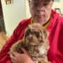 HAVANESE BREEDER TESTIMONIALS & REVIEW