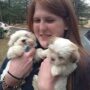 HAVANESE BREEDER TESTIMONIALS & REVIEW
