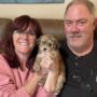 HAVANESE BREEDER TESTIMONIALS & REVIEW